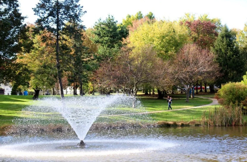 Merion Botanical Park, United States